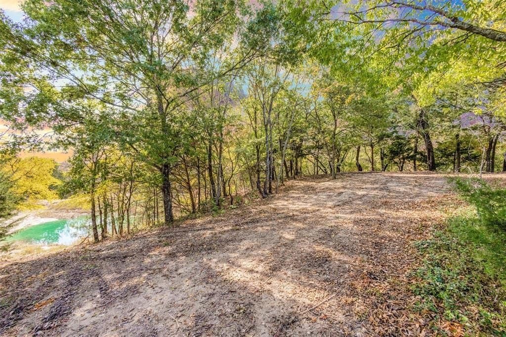 11.27 acres in Grayson County - photo 39