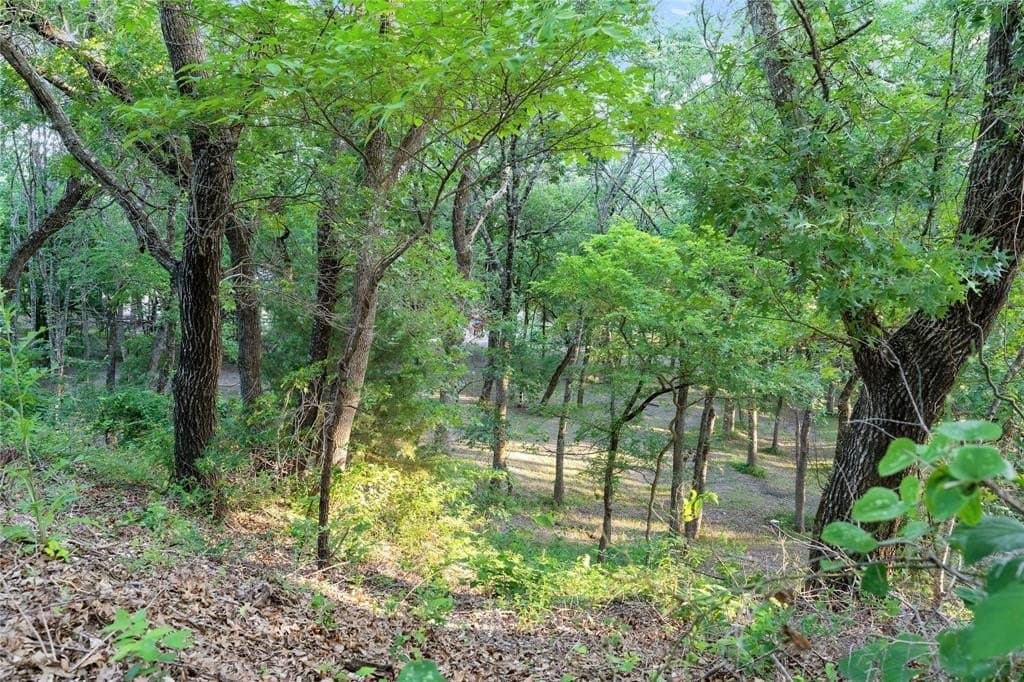 11.27 acres in Grayson County - photo 40