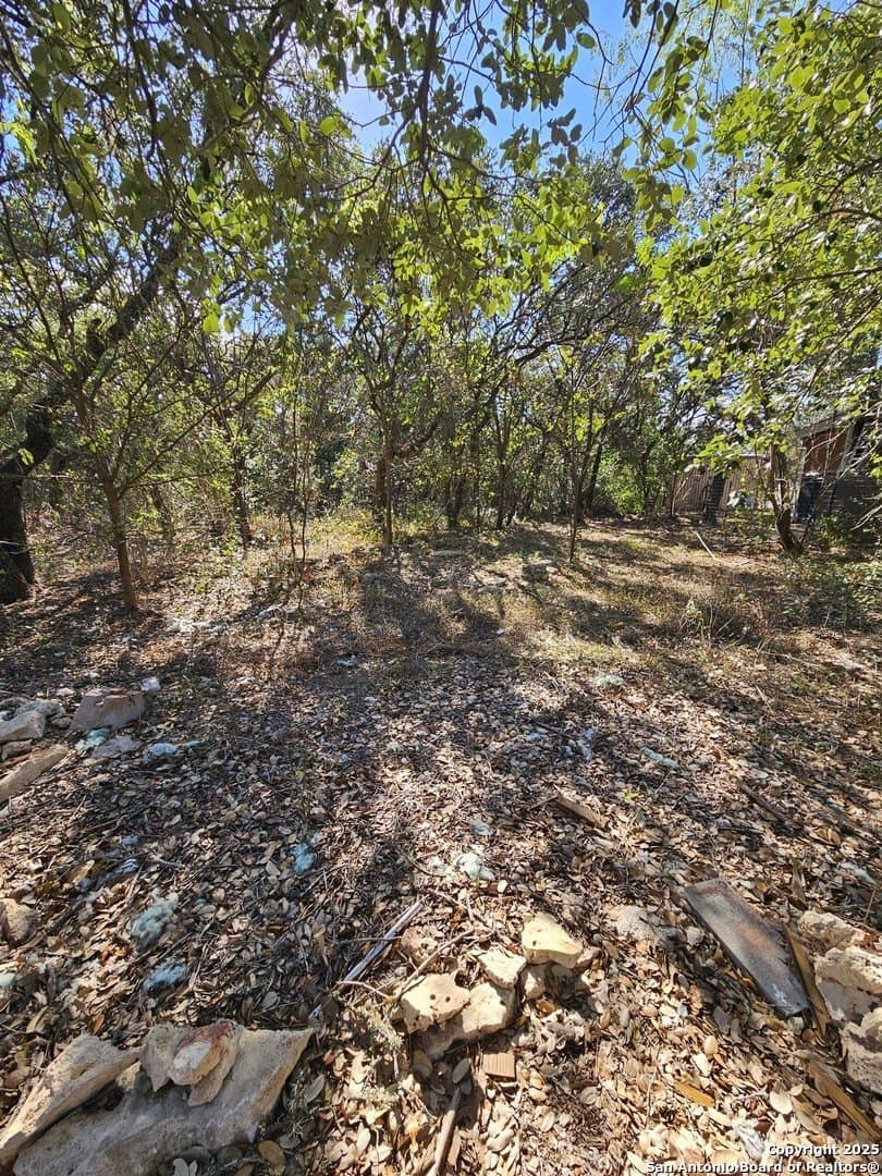 0.83 acres in Comal County - photo 5