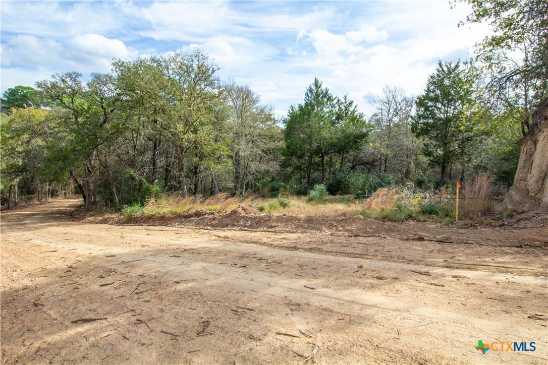 0.3 acres in Bastrop County - photo 4