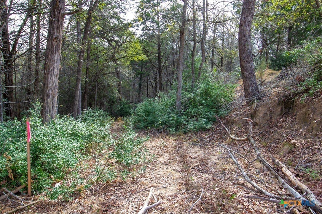 0.3 acres in Bastrop County - photo 5