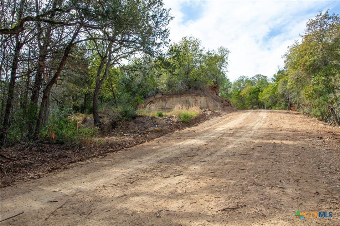 0.3 acres in Bastrop County - photo 3
