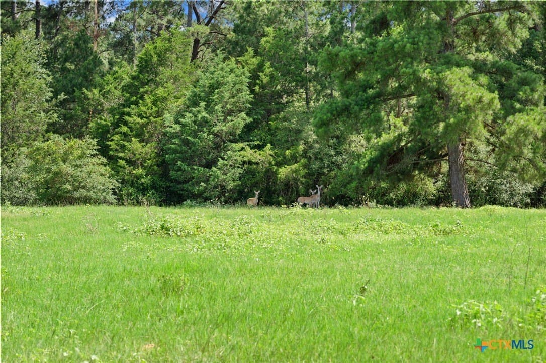 291.49 acres in Bastrop County - photo 2