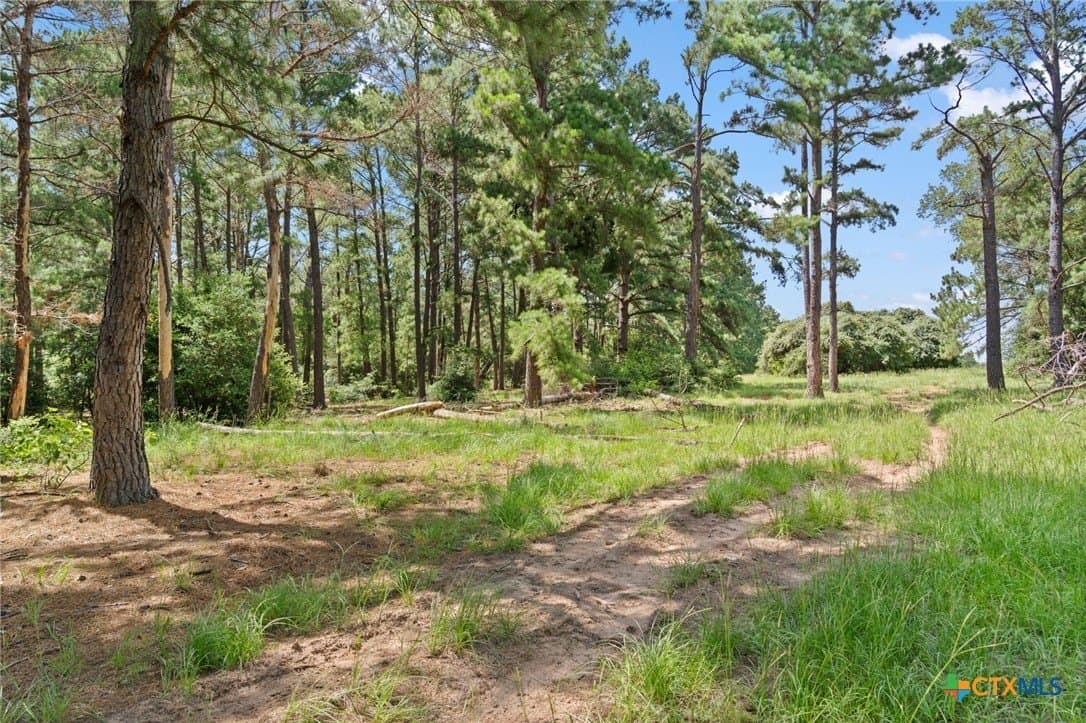 291.49 acres in Bastrop County - photo 5