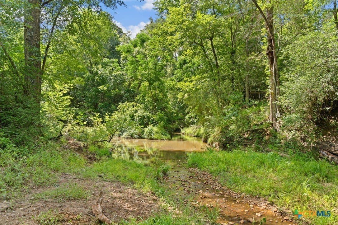 291.49 acres in Bastrop County - photo 4