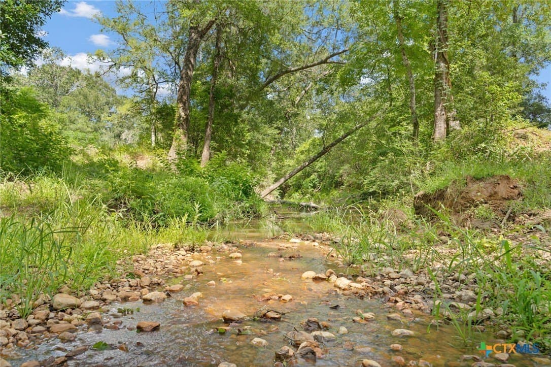 291.49 acres in Bastrop County - photo 3