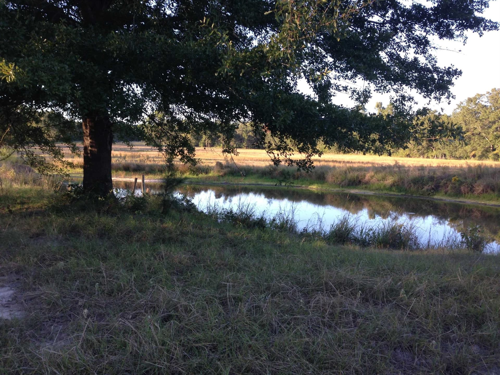 100 acres in Texas County - photo 16