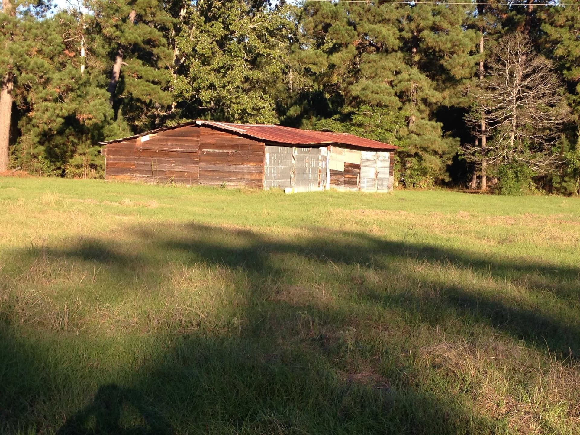 100 acres in Texas County - photo 10