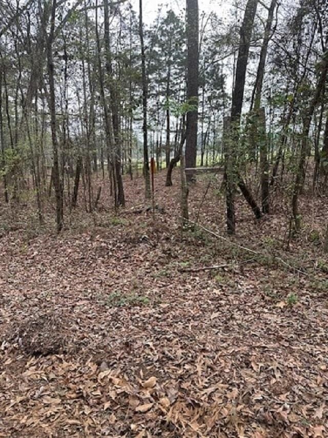 100 acres in Texas County - photo 4