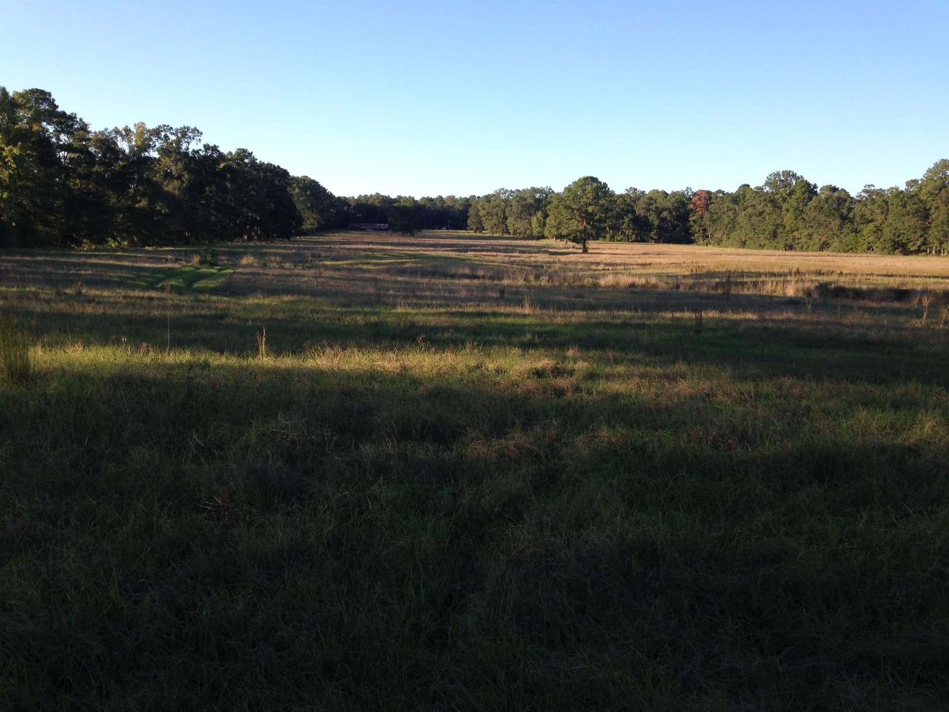 100 acres in Texas County - photo 12