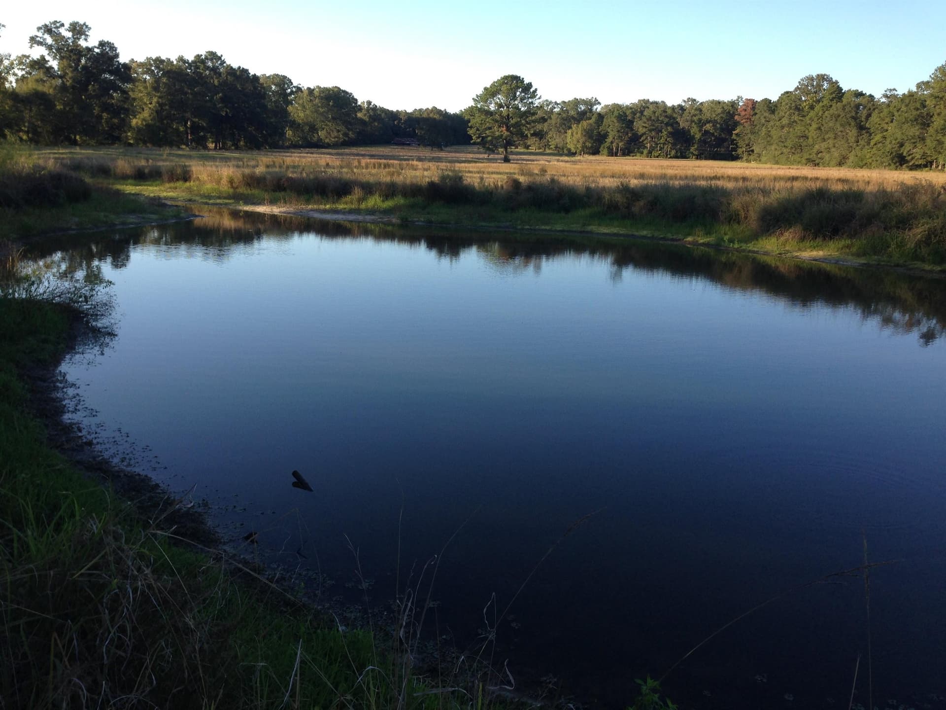 100 acres in Texas County - photo 15
