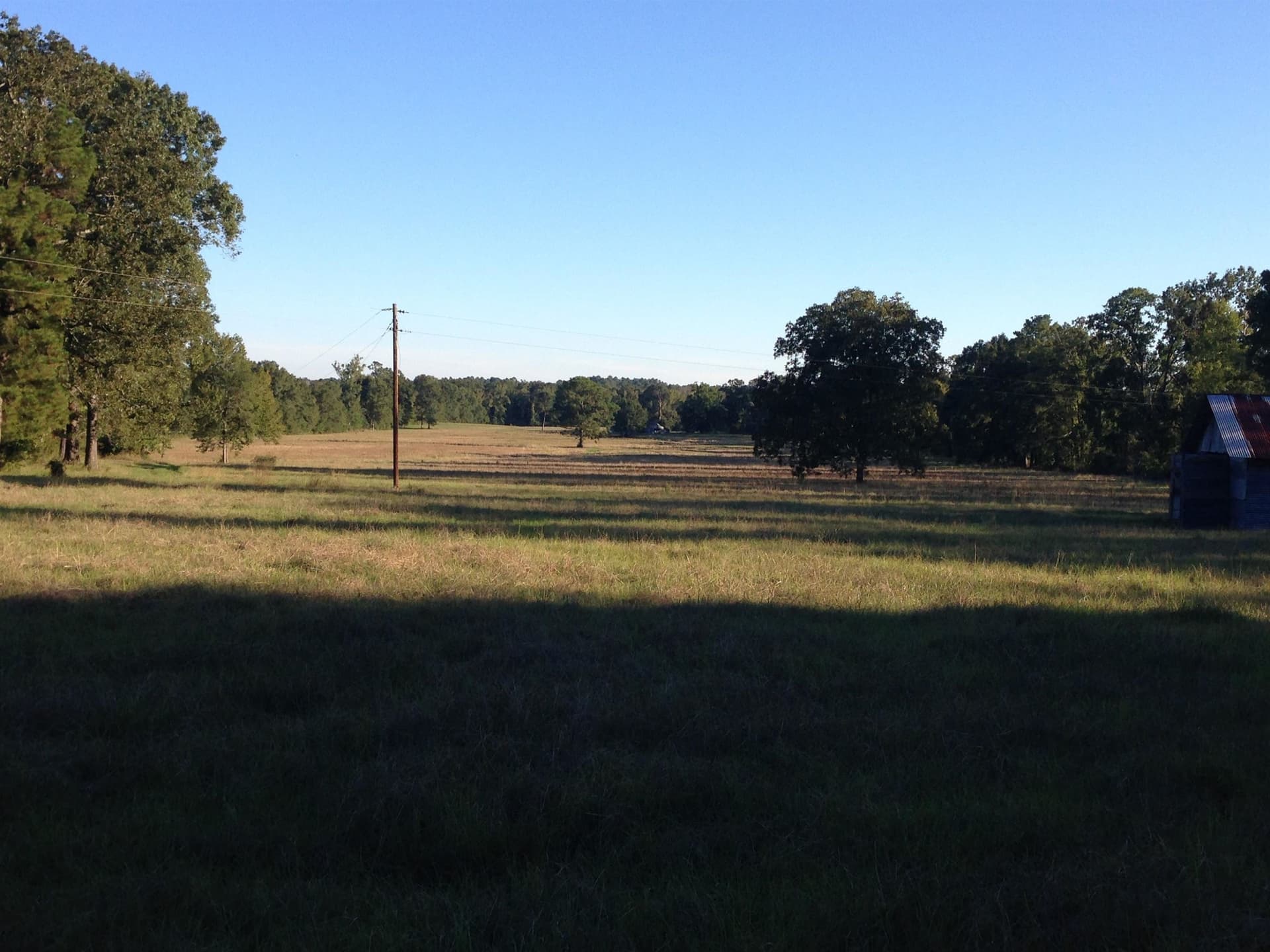100 acres in Texas County - photo 17