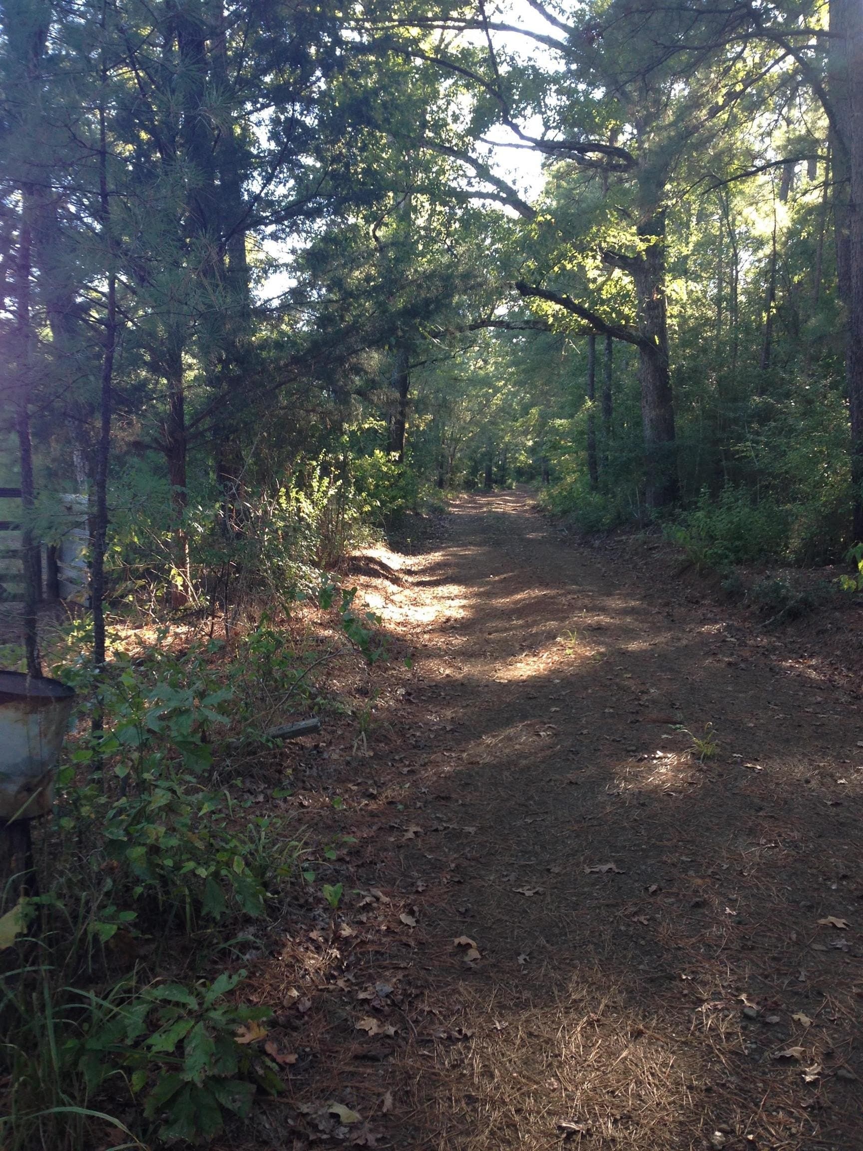 100 acres in Texas County - photo 11