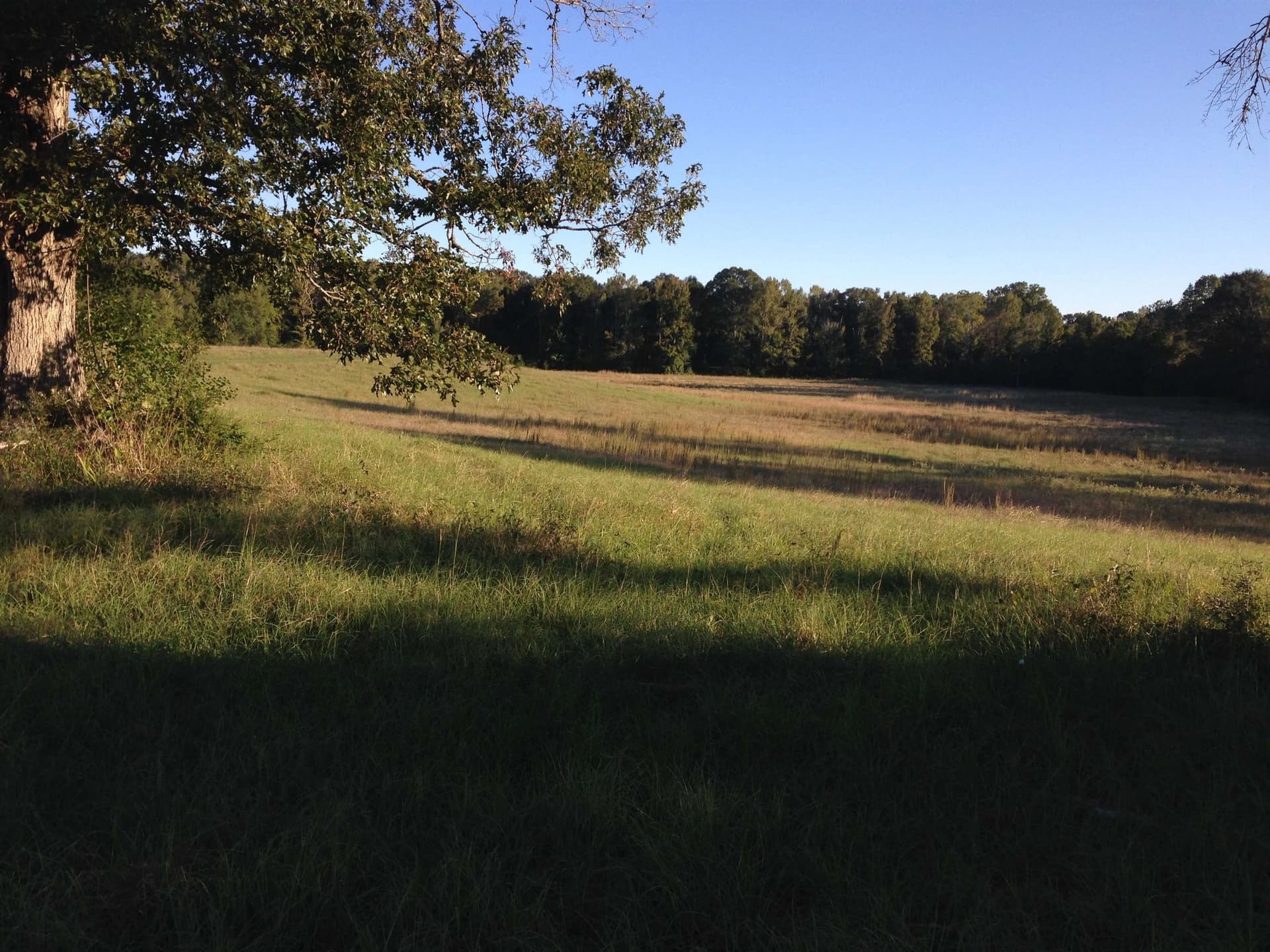 100 acres in Texas County - photo 14