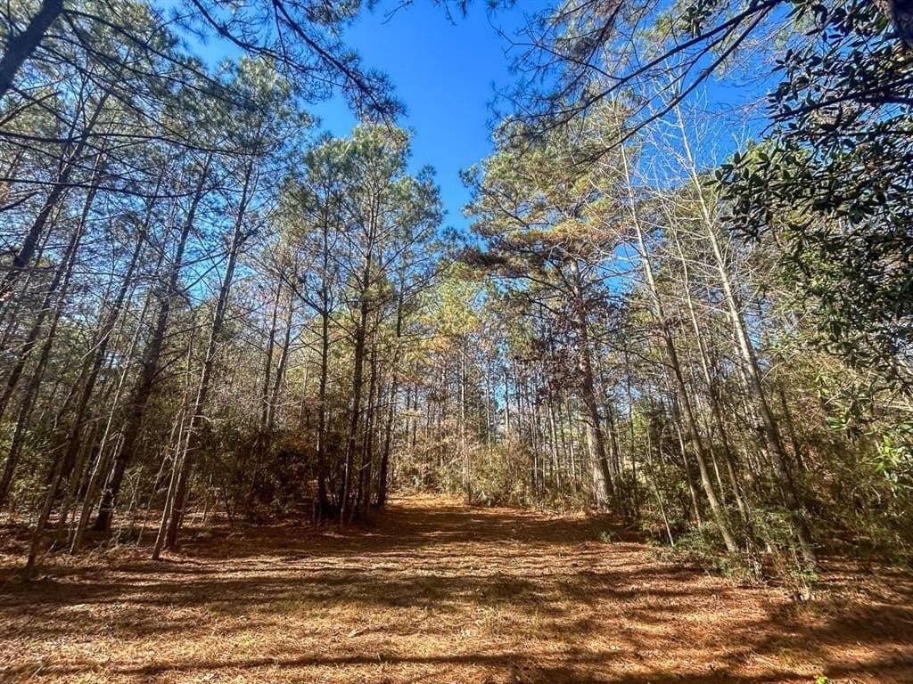 64.33 acres in Tyler County - photo 21