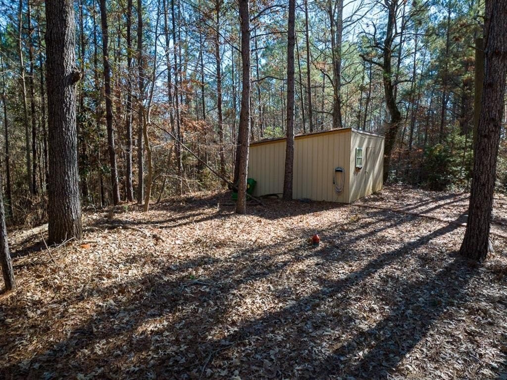 64.33 acres in Tyler County - photo 11
