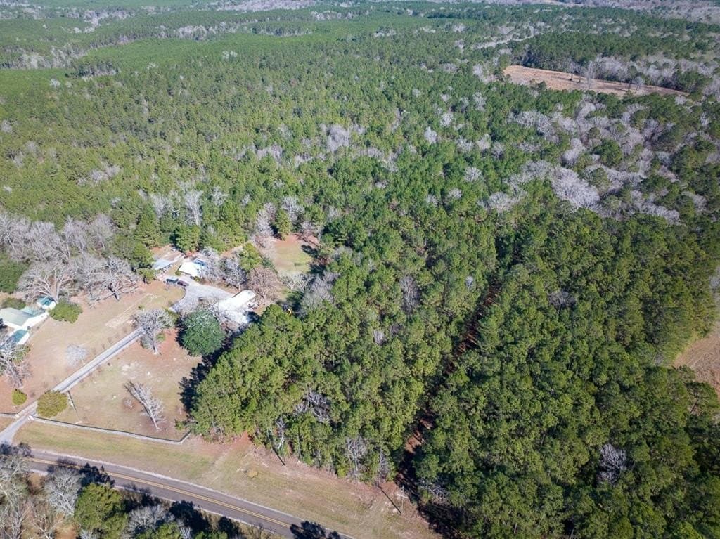 64.33 acres in Tyler County - photo 25