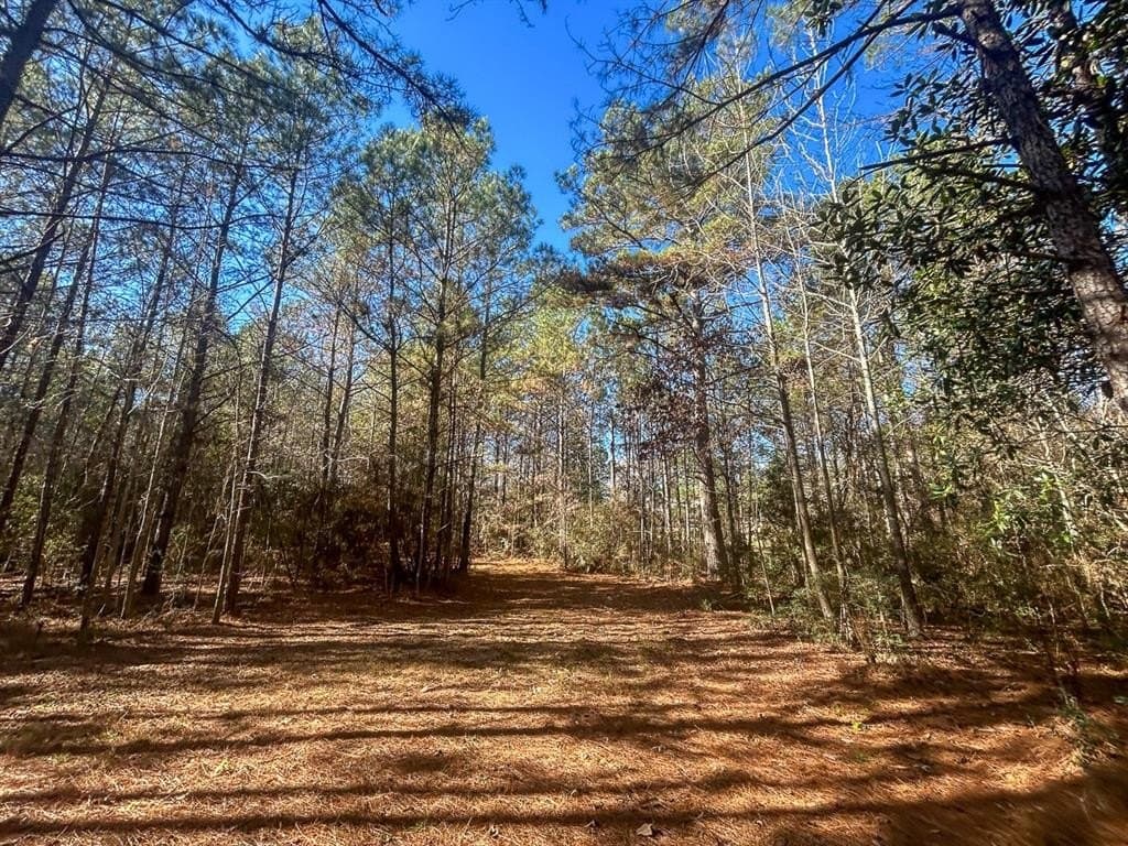 64.33 acres in Tyler County - photo 20