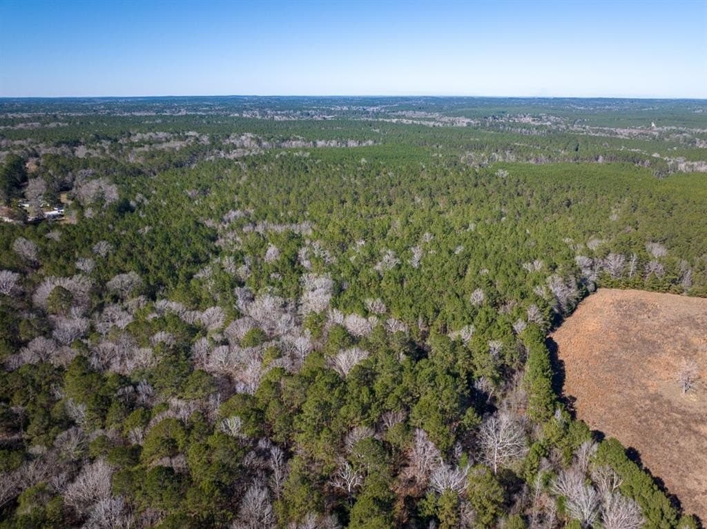 64.33 acres in Tyler County - photo 17