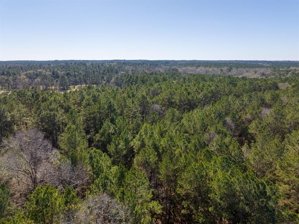 64.33 acres in Tyler County - photo 6