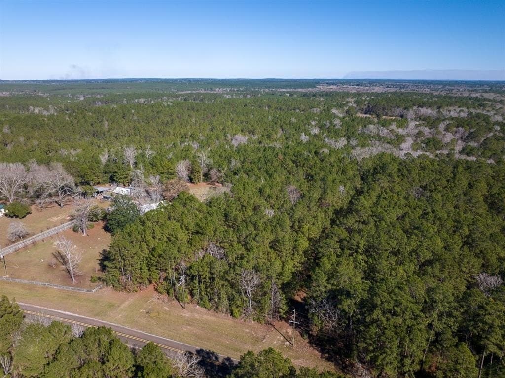 64.33 acres in Tyler County - photo 24