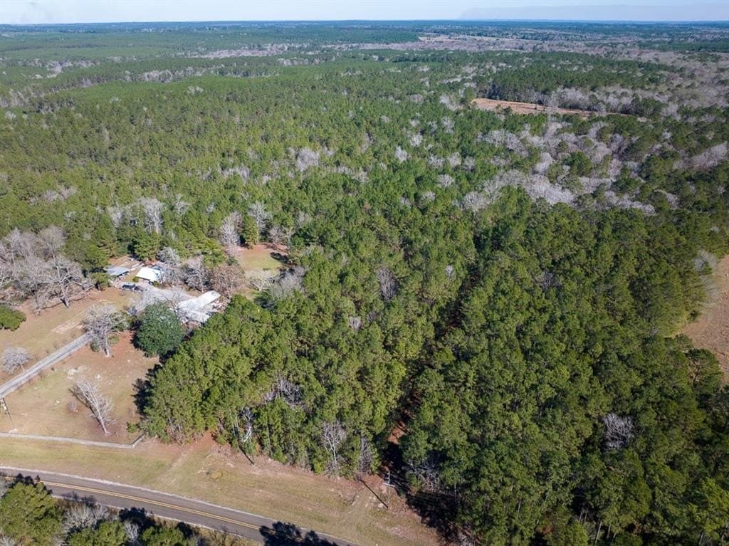 64.33 acres in Tyler County - photo 2