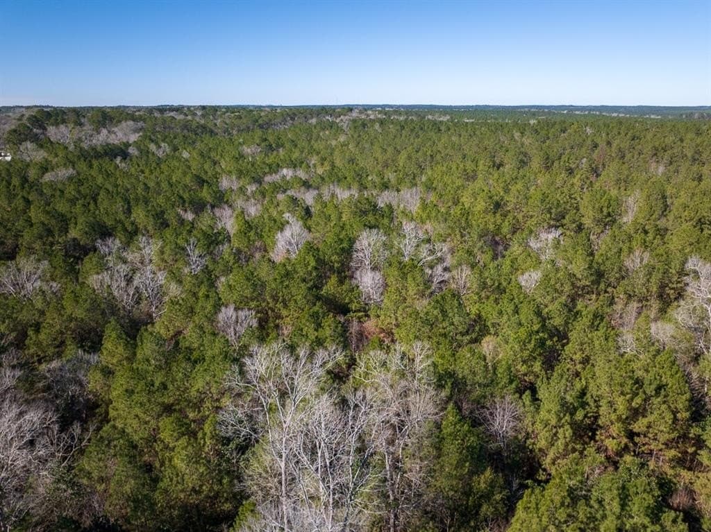 64.33 acres in Tyler County - photo 5