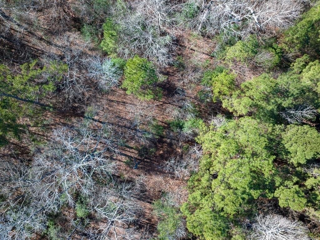 64.33 acres in Tyler County - photo 4