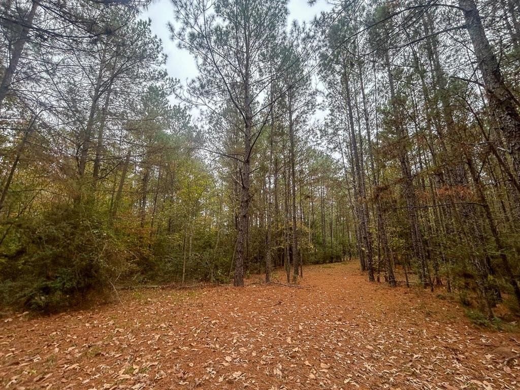 64.33 acres in Tyler County - photo 19