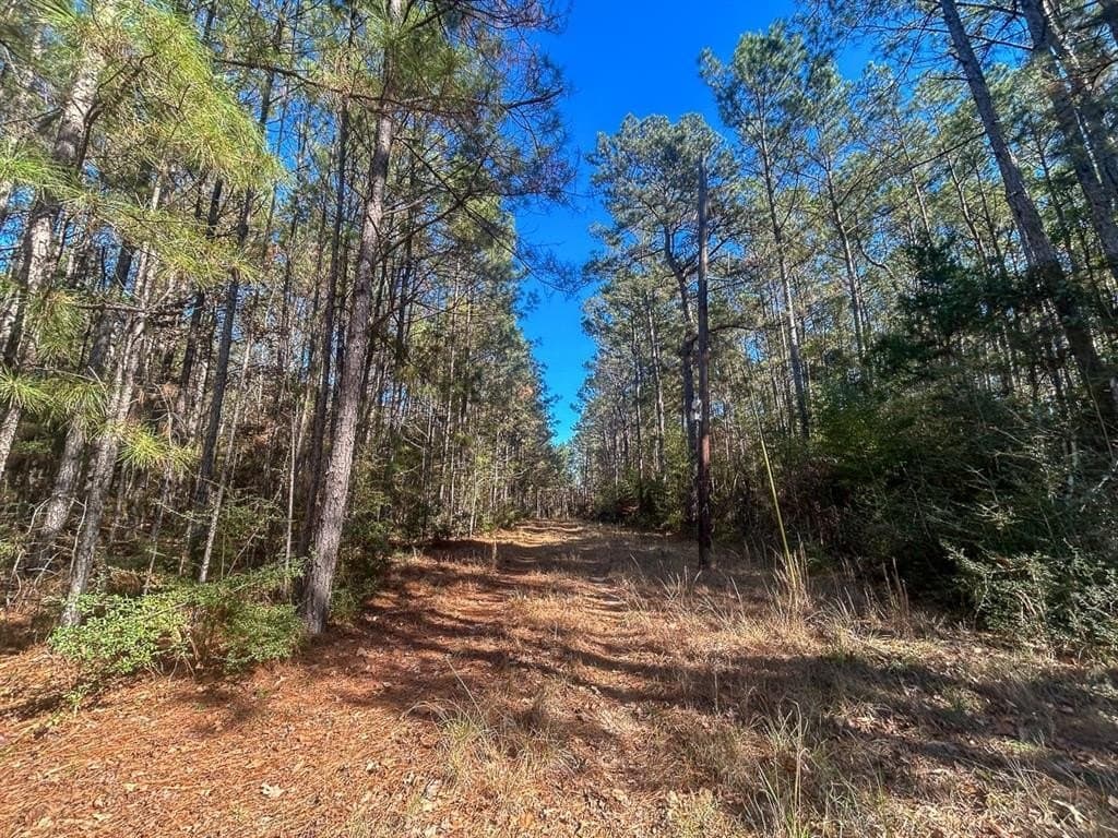 64.33 acres in Tyler County - photo 22