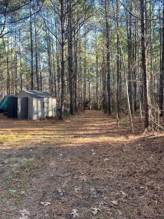 64.33 acres in Tyler County - photo 16