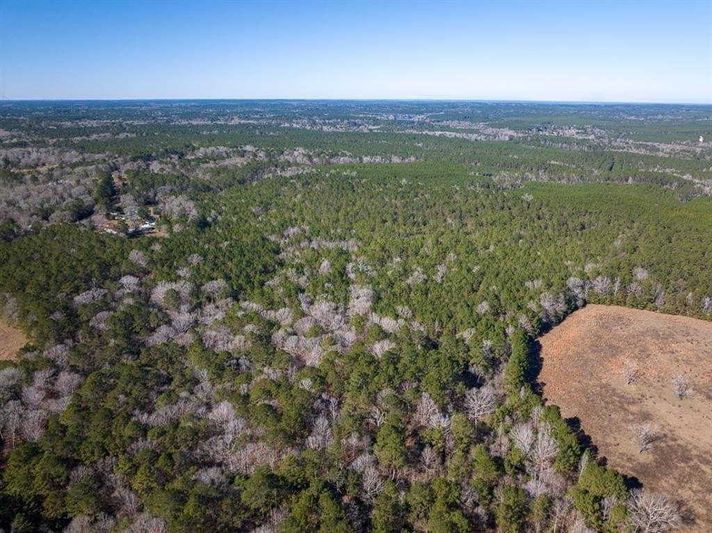 64.33 acres in Tyler County - photo 3
