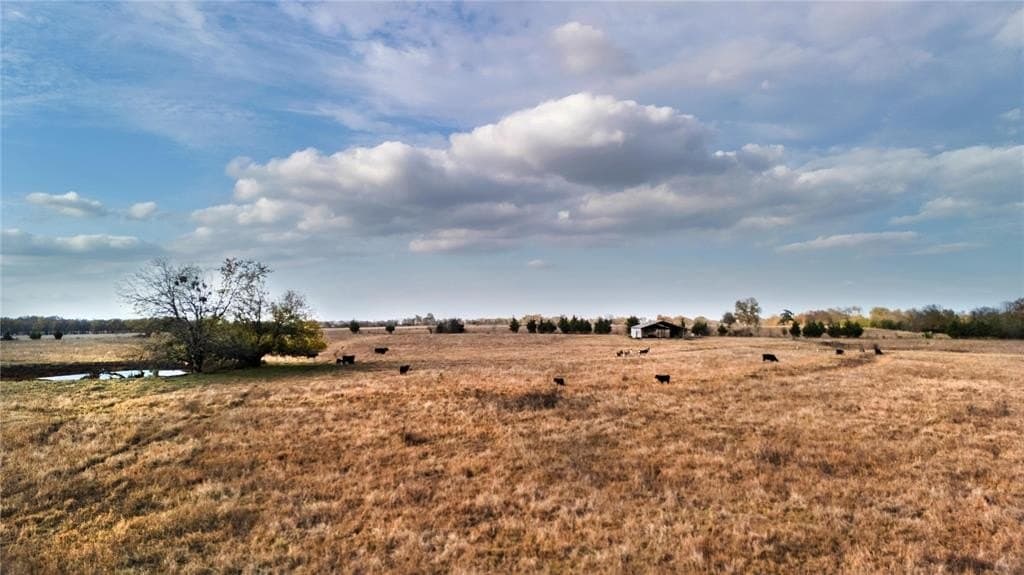 39.38 acres in Red River County - photo 20