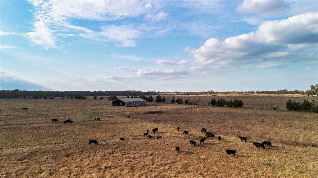 39.38 acres in Red River County - photo 25
