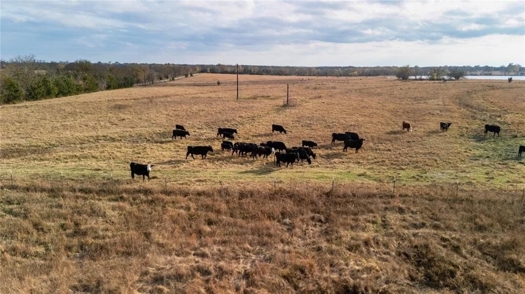 39.38 acres in Red River County - photo 29