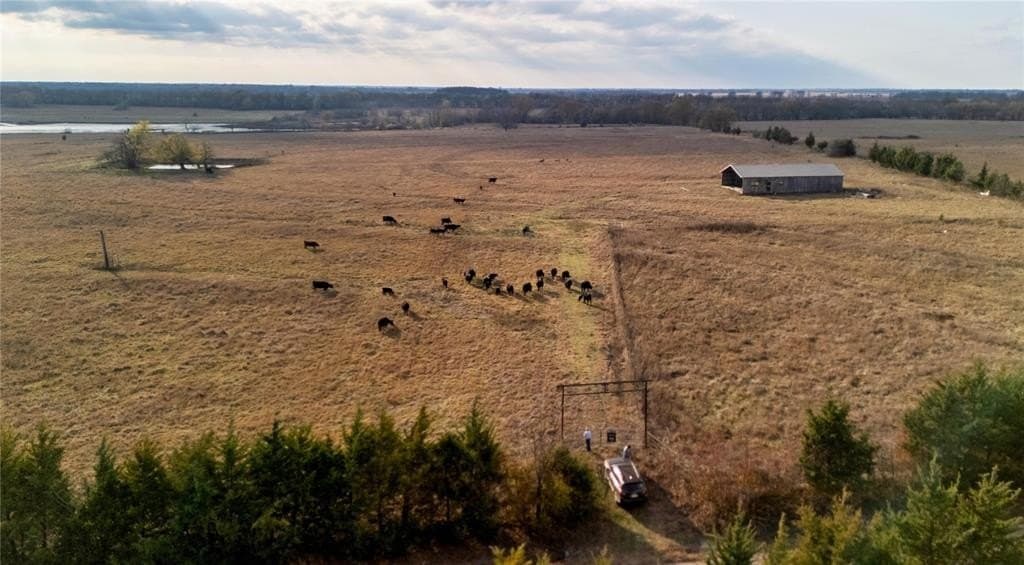 39.38 acres in Red River County - photo 27
