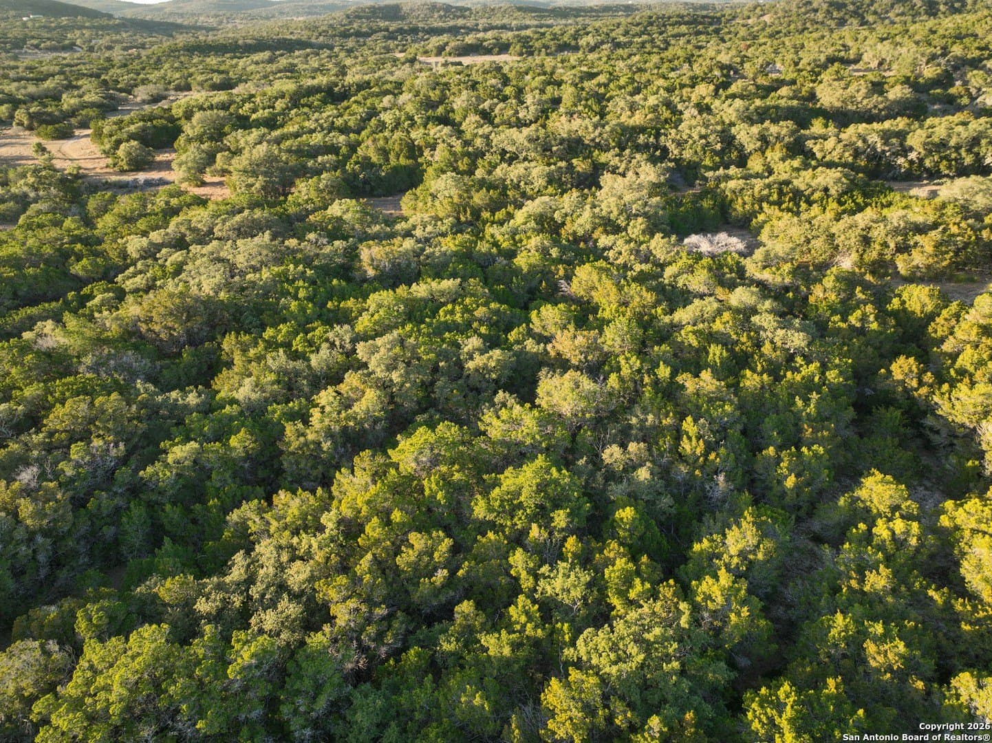 10 acres in Medina County - photo 16