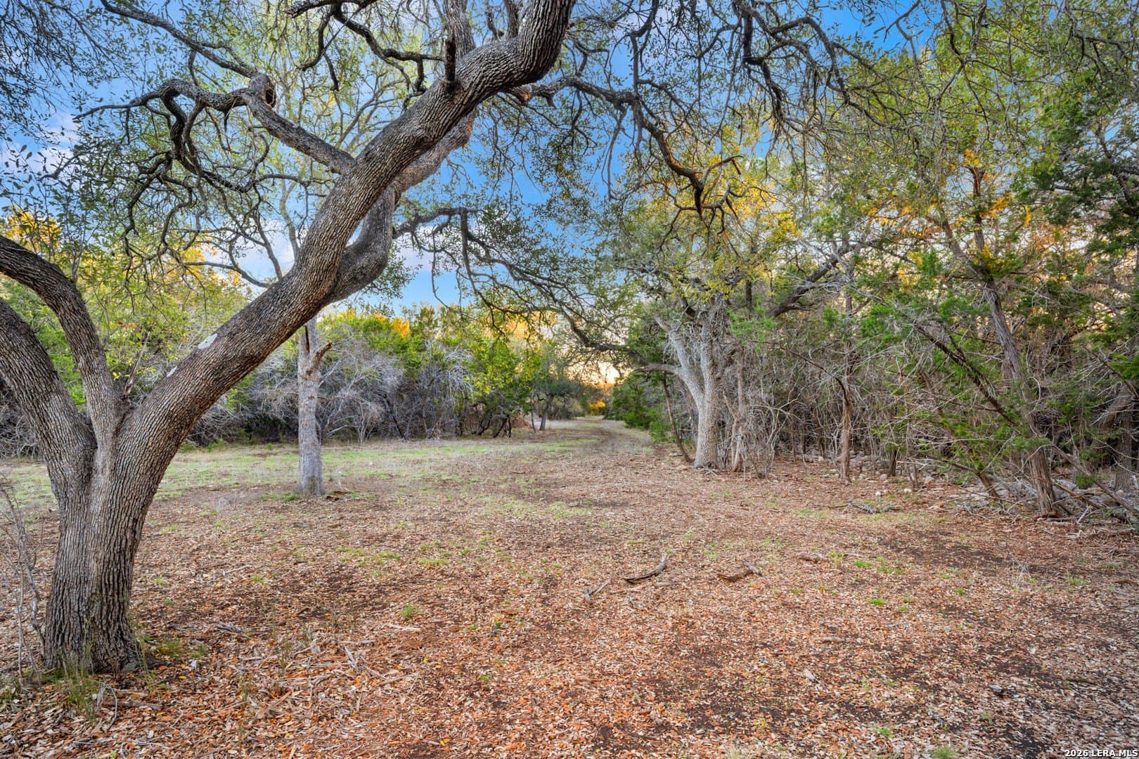 11 acres in Comal County - photo 31