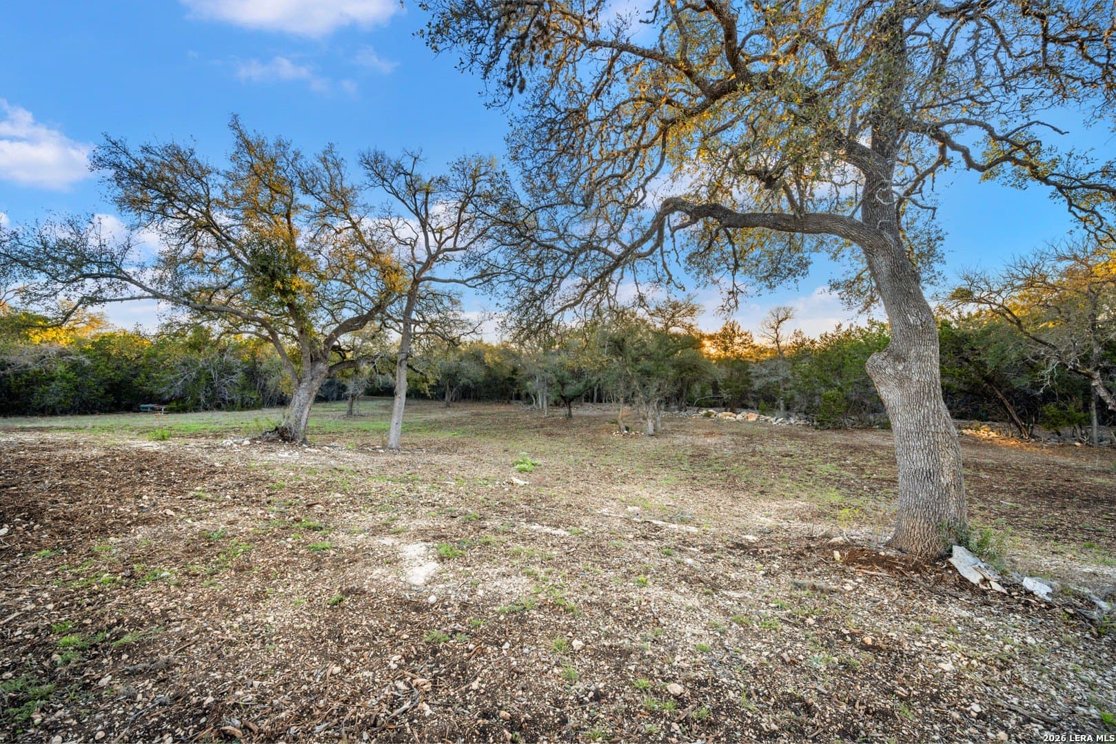 11 acres in Comal County - photo 30