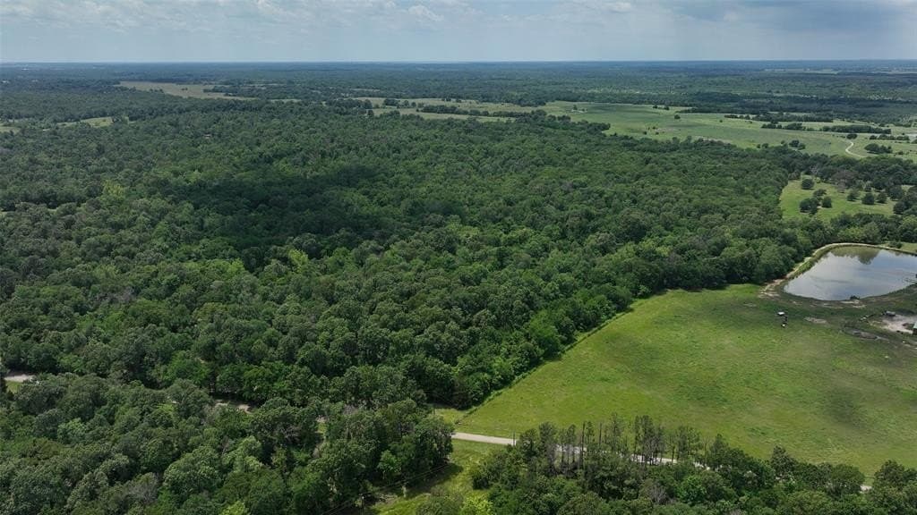 69.82 acres in Lamar County - photo 5