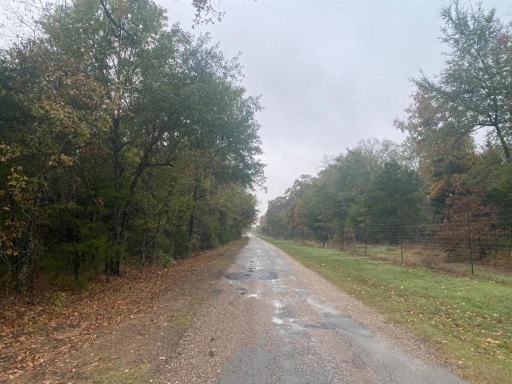 69.82 acres in Lamar County - photo 14