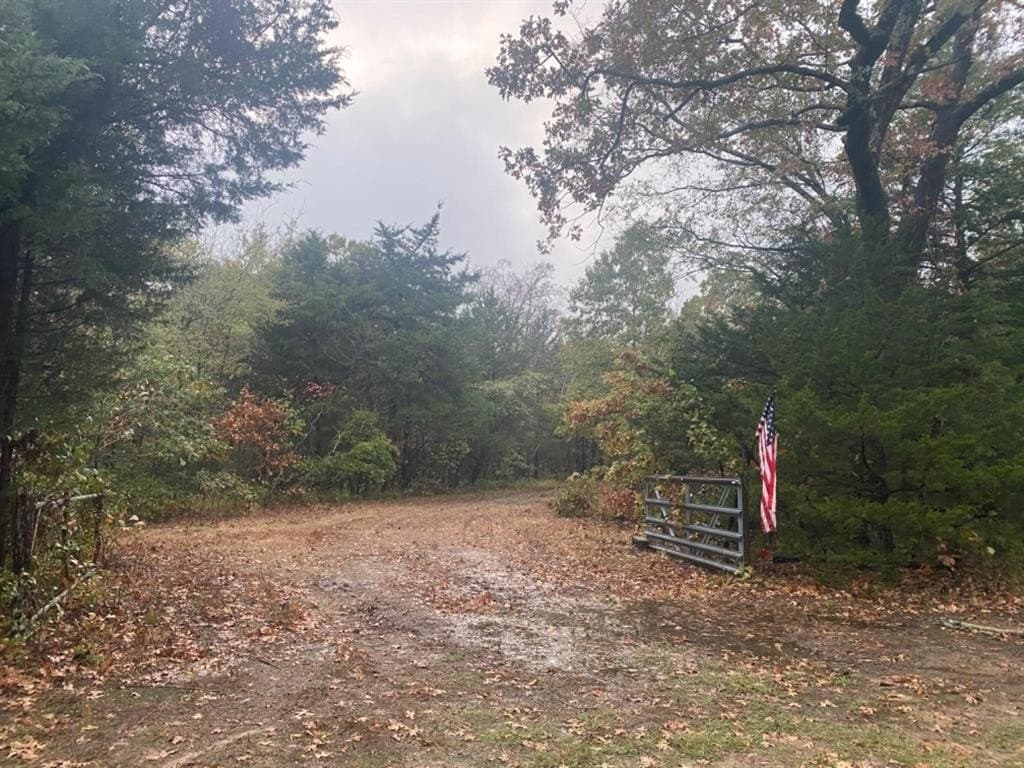69.82 acres in Lamar County - photo 13
