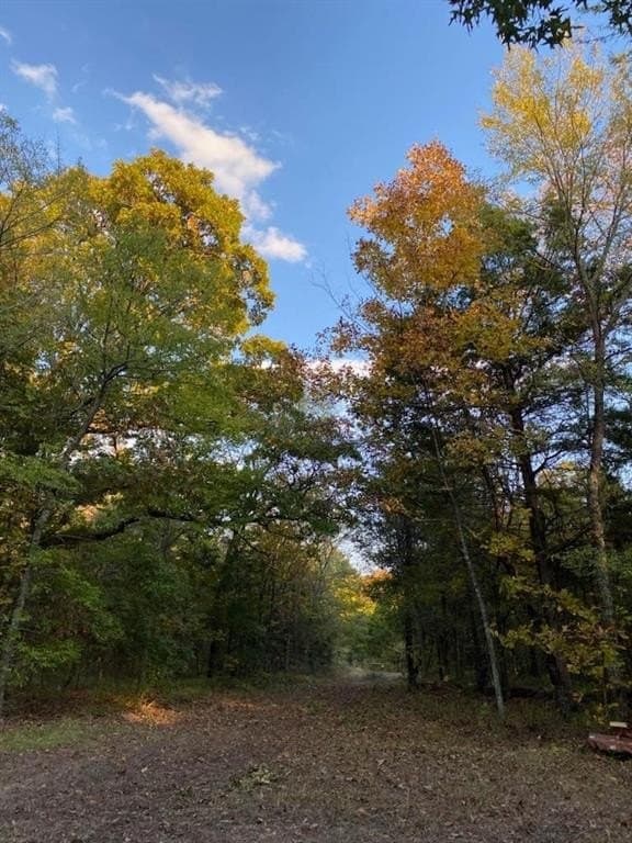 69.82 acres in Lamar County - photo 11