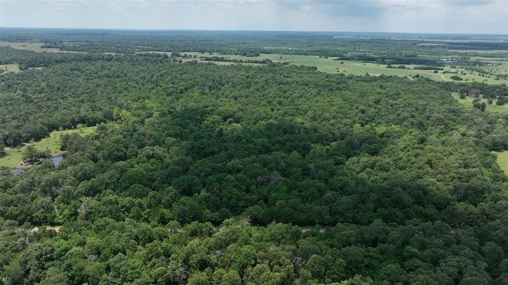 69.82 acres in Lamar County - photo 6