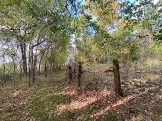 69.82 acres in Lamar County - photo 7