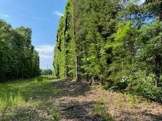 69.82 acres in Lamar County - photo 8