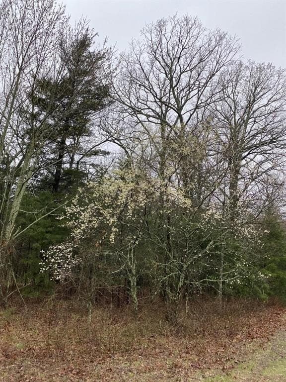 69.82 acres in Lamar County - photo 12