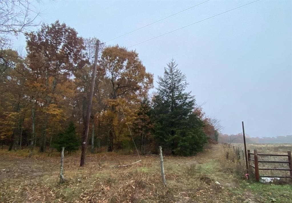 69.82 acres in Lamar County - photo 2