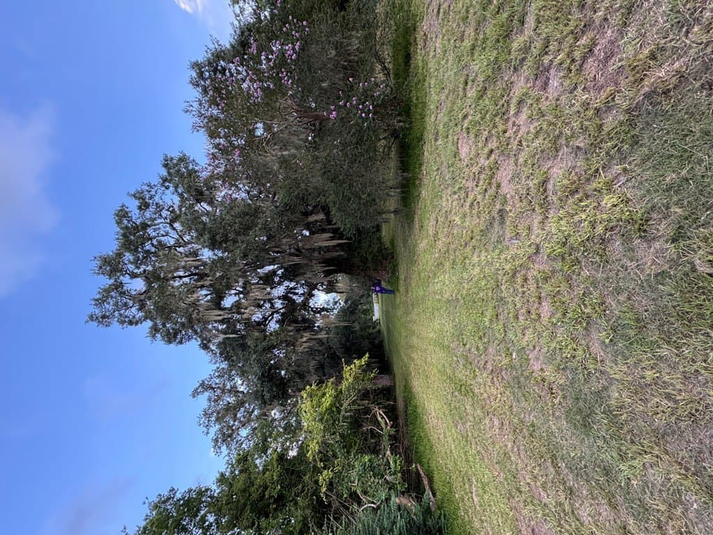 10.45 acres in Texas County - photo 2