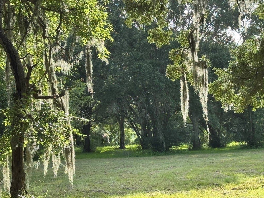 10.45 acres in Texas County - photo 14